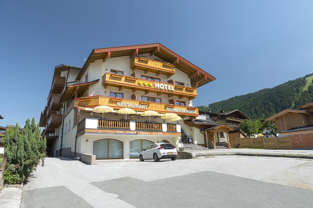 Hotel Schneeberger Нидерау Экстерьер фото